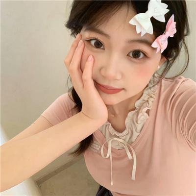 假元首秘纪